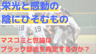 甲子園に見るメディアと世論の矛盾!