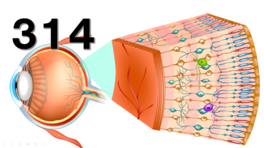 即効性抜群の『眼精疲労』撃退方法5選!