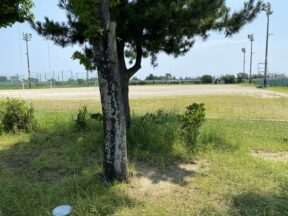 三重大学に差し入れ!