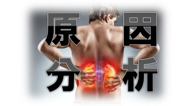 尿管結石の体験談①(尿管結石になった原因を分析)