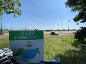 ややハードワークで全身疲労!