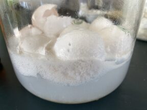 高校教育の現場より:生徒たちもかなり疲れてるとみた。