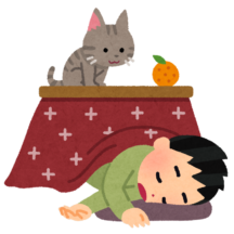 こたつが欲しい…