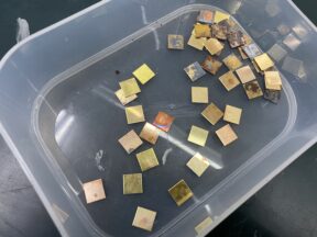 今日の憂鬱は単なる甘え!