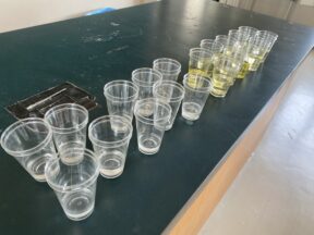 私を必要とする生徒は100人に1人以下