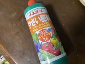 指導要録・調査書とりあえず入力完了